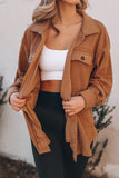 Turn Down Collar Single-breasted Wollen Coat