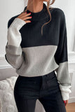 Fall Outfits Colorblock Turtle Neck Long Sleeve Sweater