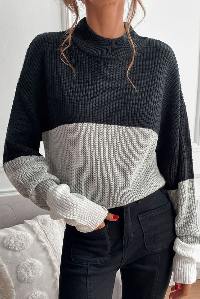 Fall Outfits Colorblock Turtle Neck Long Sleeve Sweater
